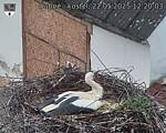 Capi_Dubne_20250522_122003.jpg