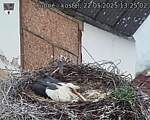 Capi_Dubne_20250522_132502.jpg