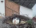 Capi_Dubne_20250522_134002.jpg