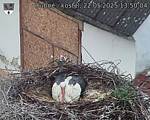Capi_Dubne_20250522_135004.jpg