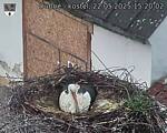 Capi_Dubne_20250522_152002.jpg