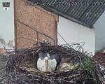 Capi_Dubne_20250522_161503.jpg