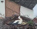 Capi_Dubne_20250522_183502.jpg