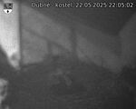 Capi_Dubne_20250522_220502.jpg