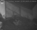 Capi_Dubne_20250522_233003.jpg