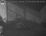 Capi_Dubne_20250523_001003.jpg