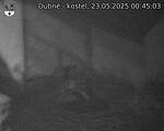 Capi_Dubne_20250523_004503.jpg