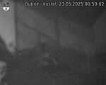 Capi_Dubne_20250523_005002.jpg