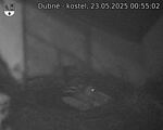 Capi_Dubne_20250523_005502.jpg