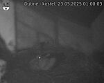 Capi_Dubne_20250523_010003.jpg