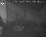 Capi_Dubne_20250523_011002.jpg
