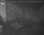 Capi_Dubne_20250523_012503.jpg