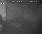 Capi_Dubne_20250523_014002.jpg