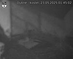 Capi_Dubne_20250523_014502.jpg