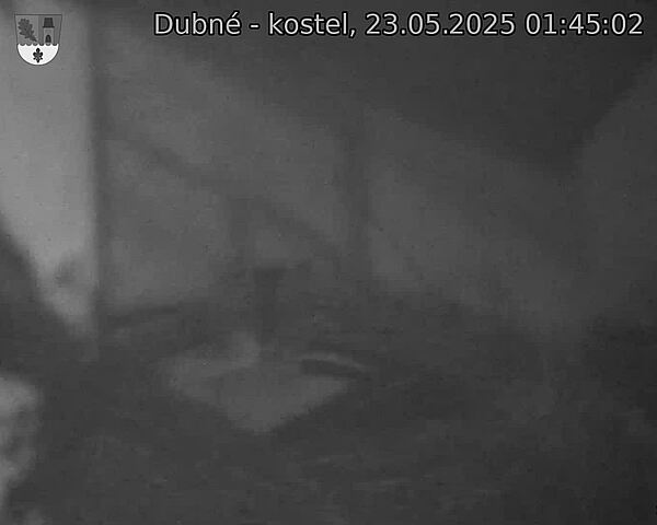 Capi_Dubne_20250523_014502.jpg (1350 x 1080)