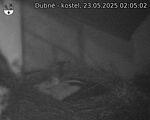 Capi_Dubne_20250523_020502.jpg