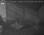 Capi_Dubne_20250523_021002.jpg