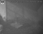 Capi_Dubne_20250523_022002.jpg