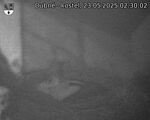 Capi_Dubne_20250523_023002.jpg