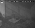 Capi_Dubne_20250523_024502.jpg