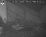 Capi_Dubne_20250523_032002.jpg