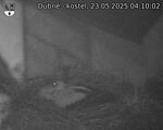 Capi_Dubne_20250523_041003.jpg