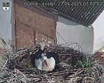 Capi_Dubne_20250523_070002.jpg