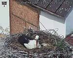 Capi_Dubne_20250523_104003.jpg