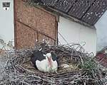 Capi_Dubne_20250523_112004.jpg