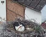 Capi_Dubne_20250523_113504.jpg