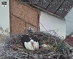 Capi_Dubne_20250523_114002.jpg