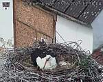 Capi_Dubne_20250523_115004.jpg