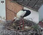 Capi_Dubne_20250523_123004.jpg