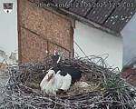 Capi_Dubne_20250523_125003.jpg