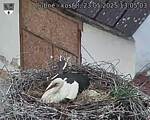 Capi_Dubne_20250523_130503.jpg