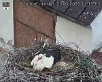 Capi_Dubne_20250523_131503.jpg