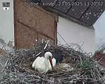 Capi_Dubne_20250523_132002.jpg