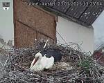 Capi_Dubne_20250523_132504.jpg