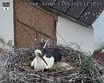 Capi_Dubne_20250523_133002.jpg