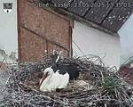 Capi_Dubne_20250523_133503.jpg