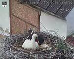 Capi_Dubne_20250523_134502.jpg