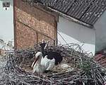 Capi_Dubne_20250523_135004.jpg