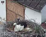 Capi_Dubne_20250523_135502.jpg