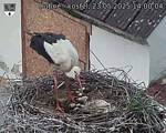 Capi_Dubne_20250523_140004.jpg