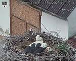 Capi_Dubne_20250523_140504.jpg