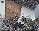 Capi_Dubne_20250523_141503.jpg