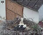 Capi_Dubne_20250523_142502.jpg