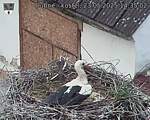 Capi_Dubne_20250523_143502.jpg