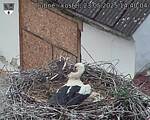 Capi_Dubne_20250523_144004.jpg