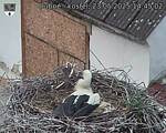 Capi_Dubne_20250523_144502.jpg